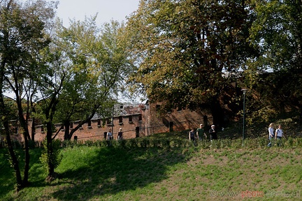 Wawel (20060914 0253)